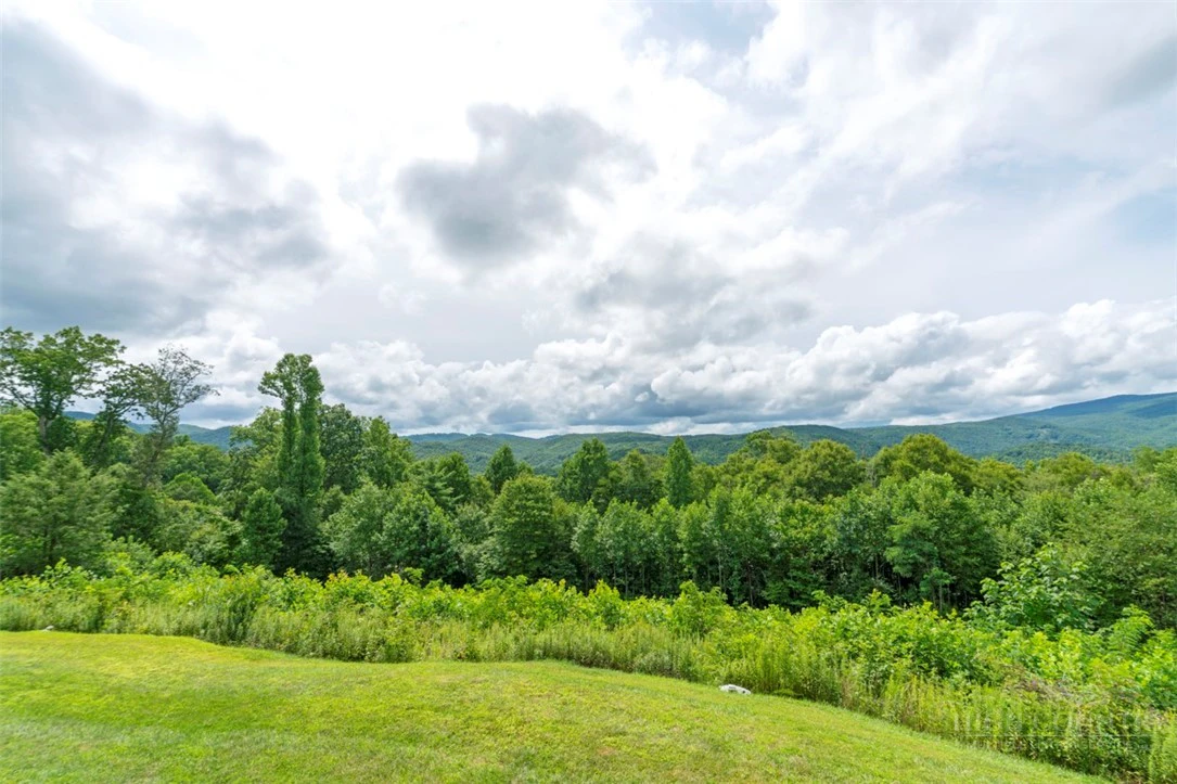 Image number 16 for the current listing