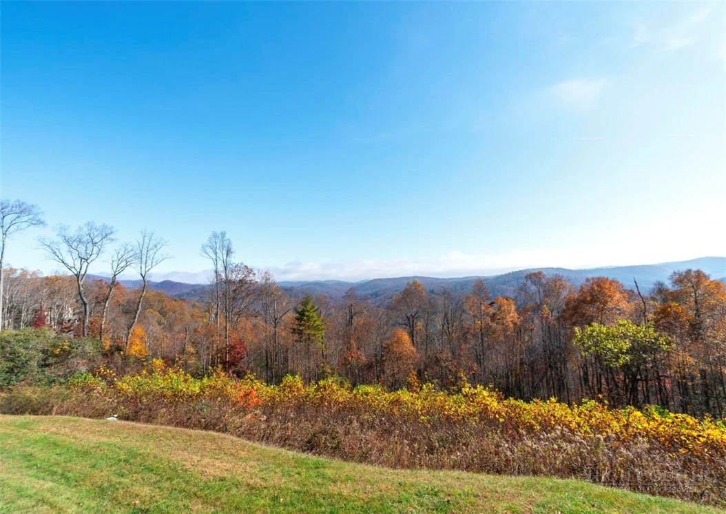 Image number 18 for the current listing