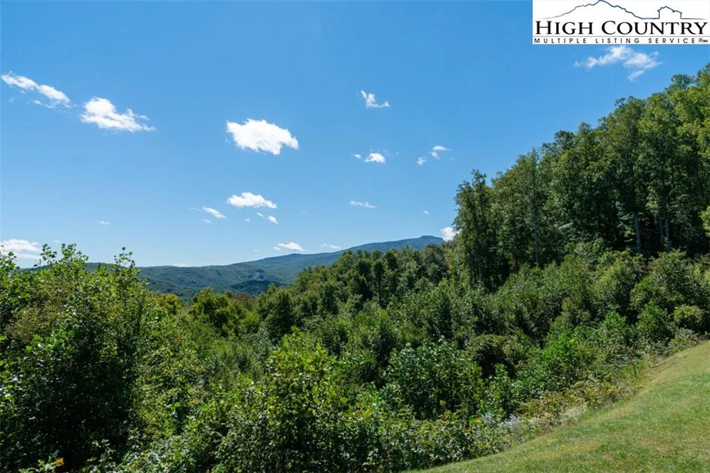 Image number 19 for the current listing