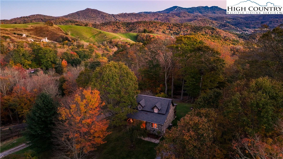 Image number 1 for the current listing