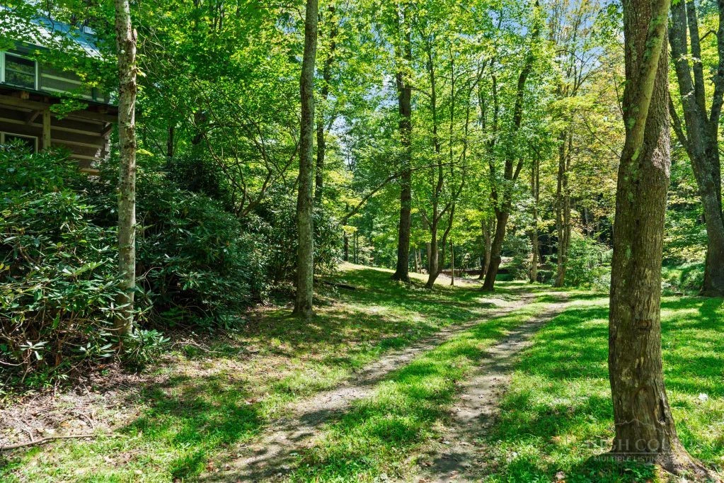 Image number 7 for the current listing