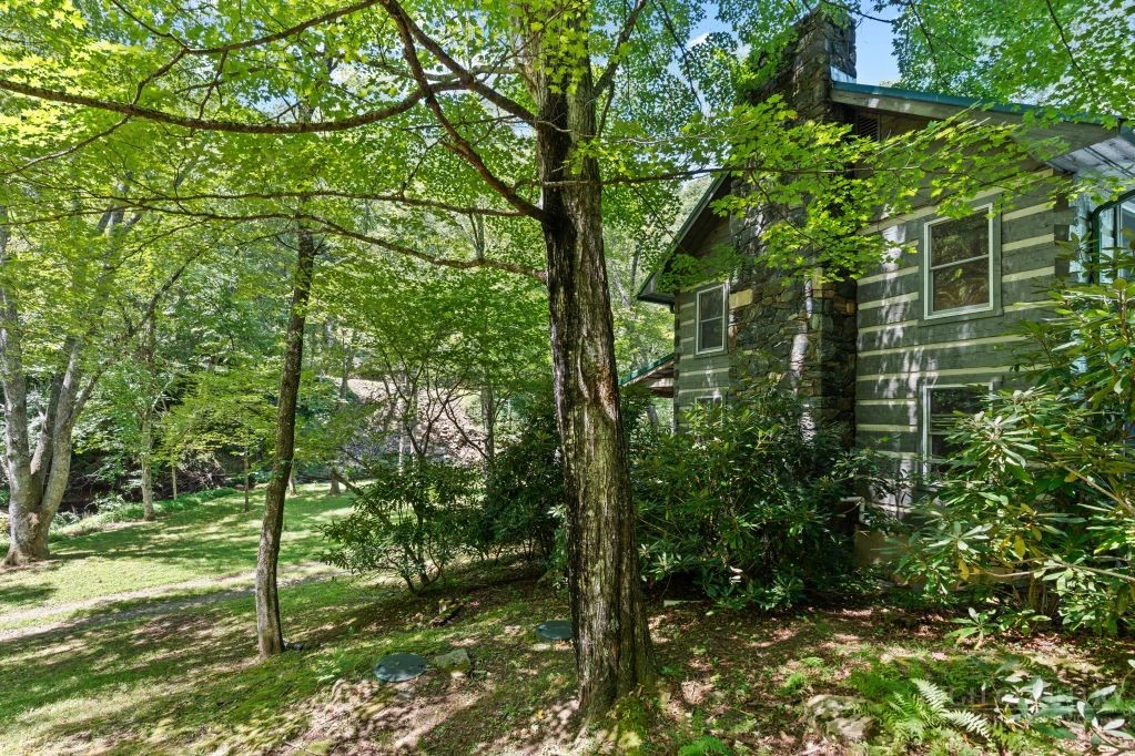 Image number 11 for the current listing