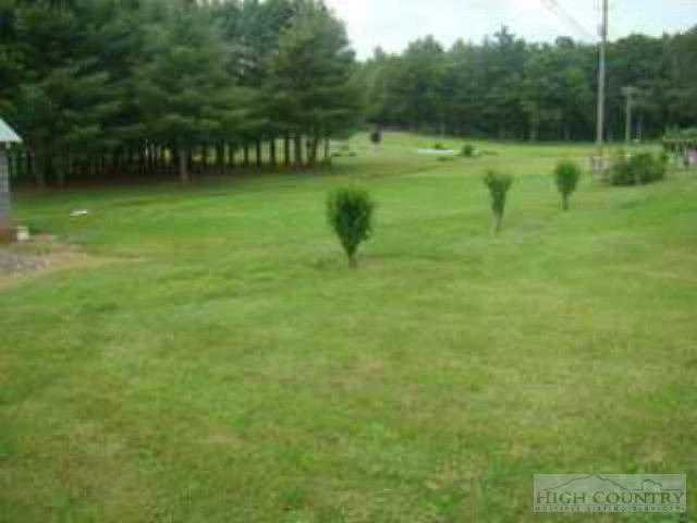 Image number 12 for the current listing