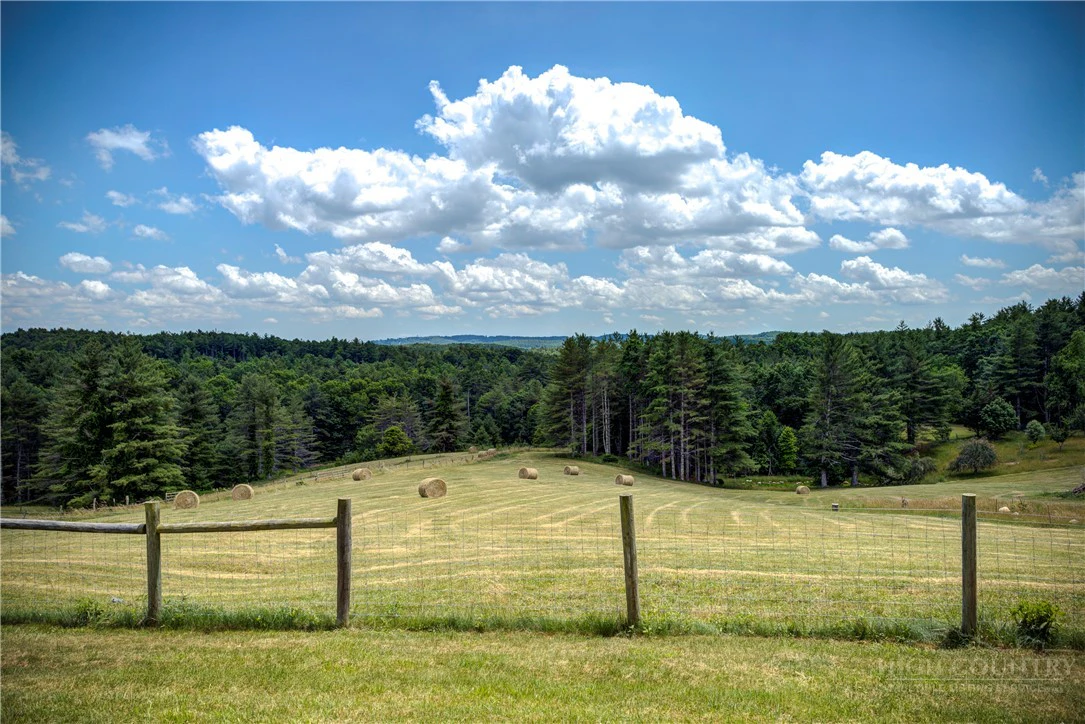 Image number 4 for the current listing
