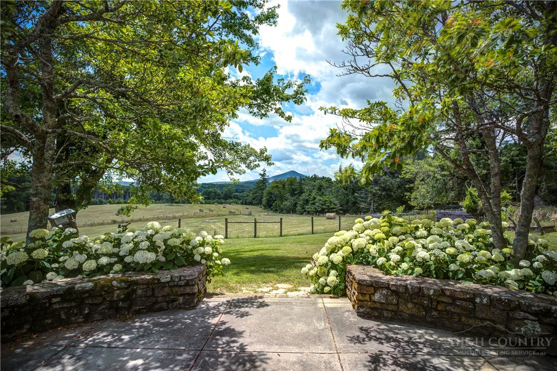 Image number 6 for the current listing