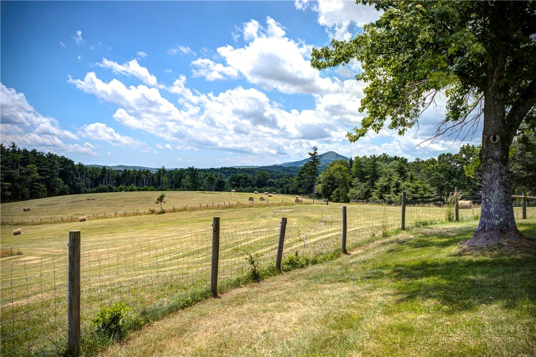 Image number 7 for the current listing
