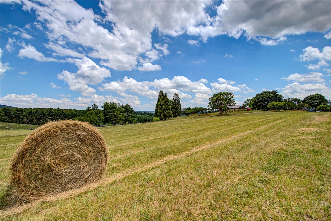 Image number 10 for the current listing