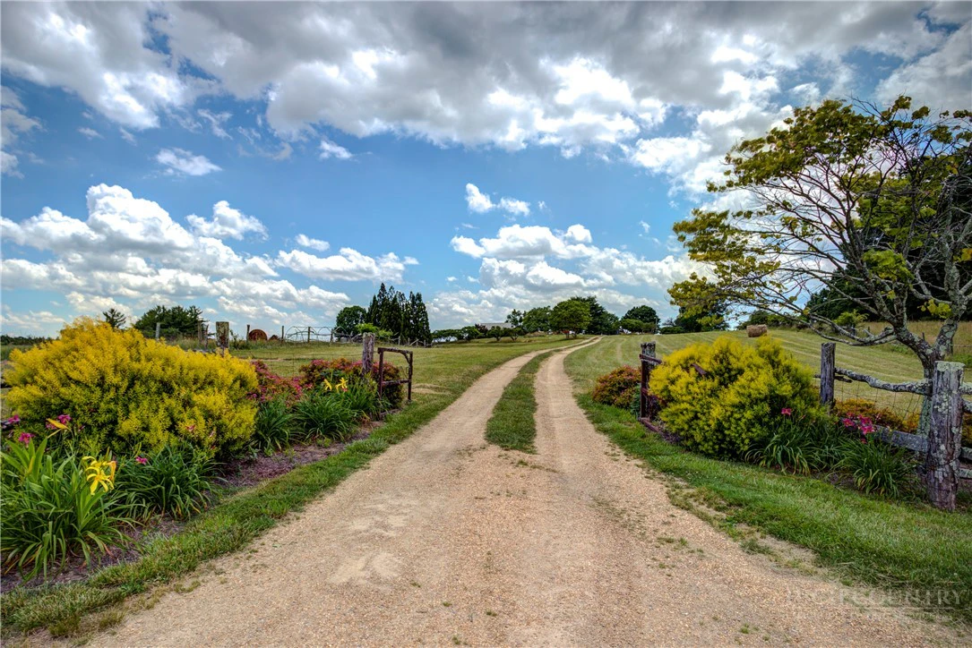 Image number 11 for the current listing