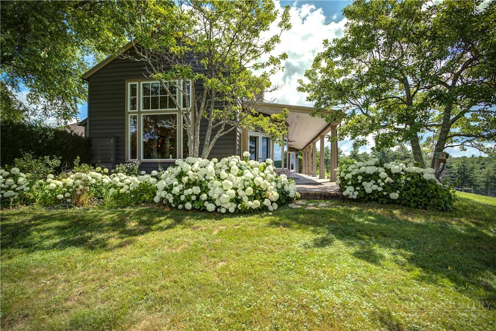 Image number 18 for the current listing