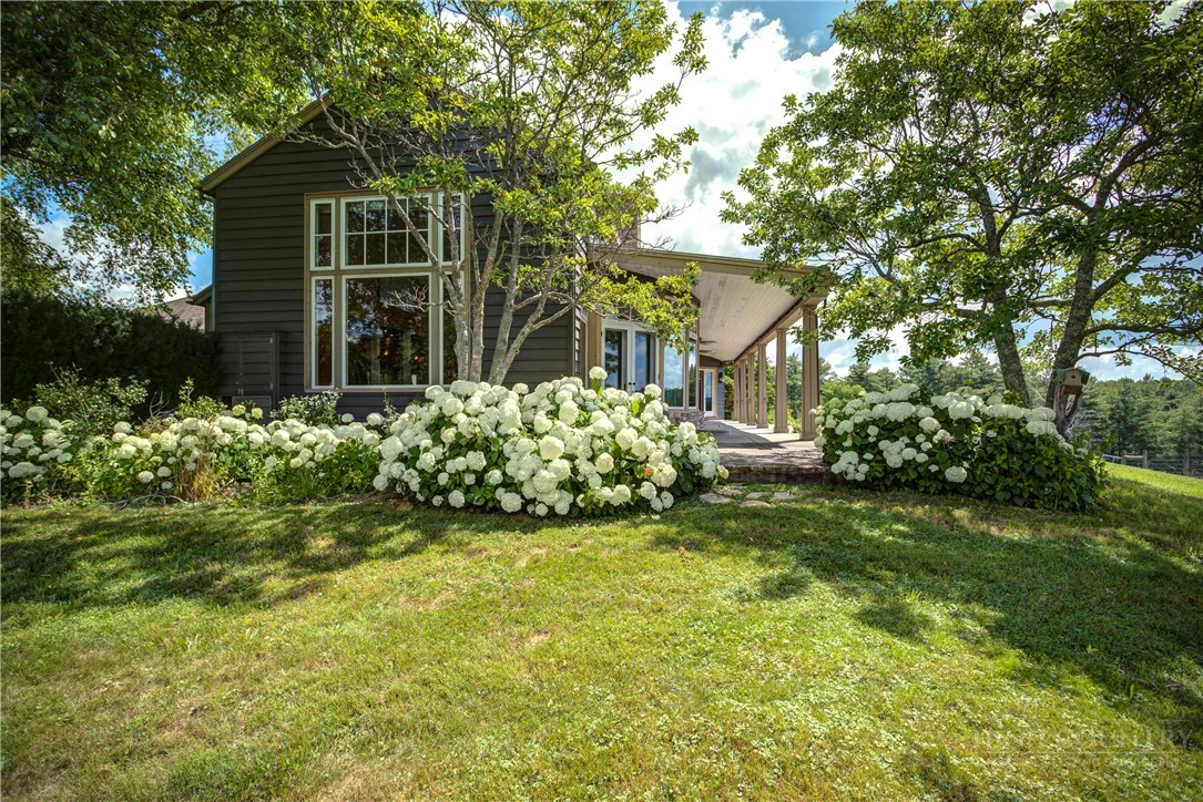Image number 18 for the current listing