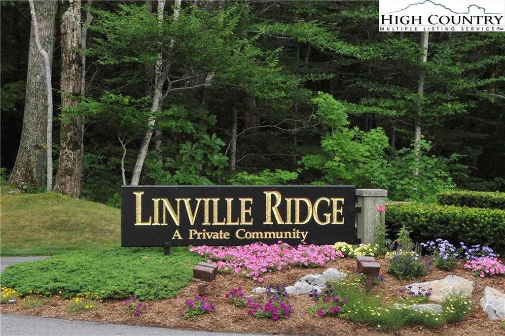 Image number 11 for the current listing