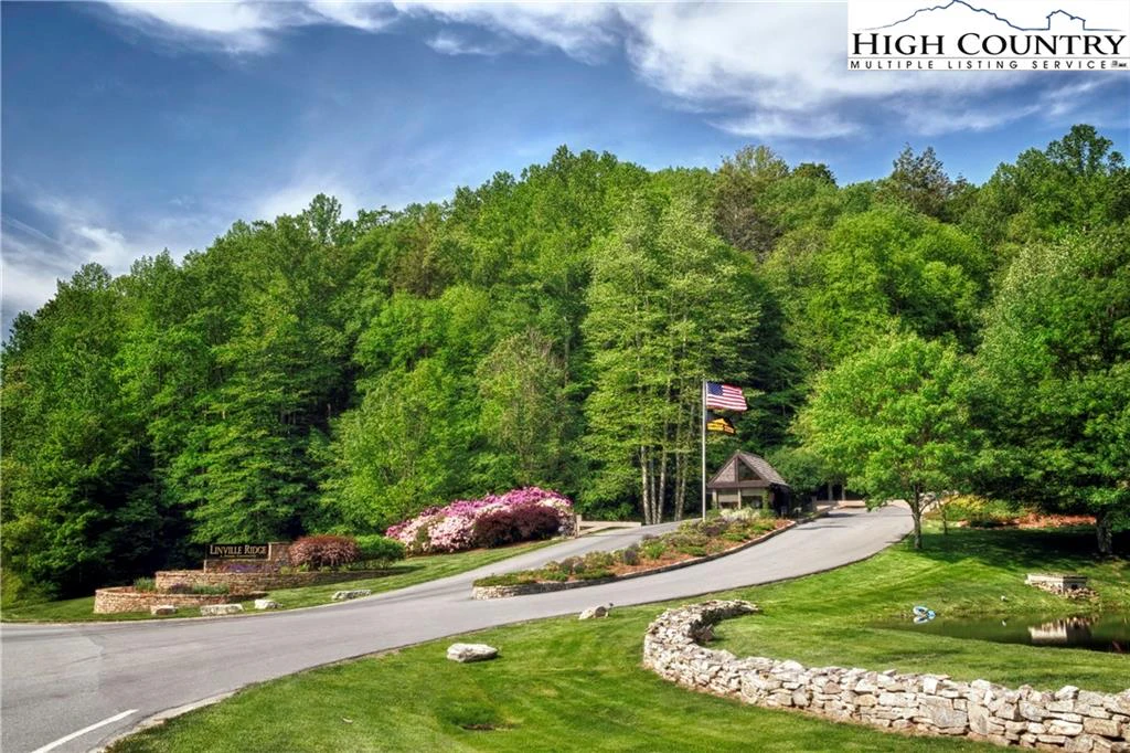 Image number 5 for the current listing