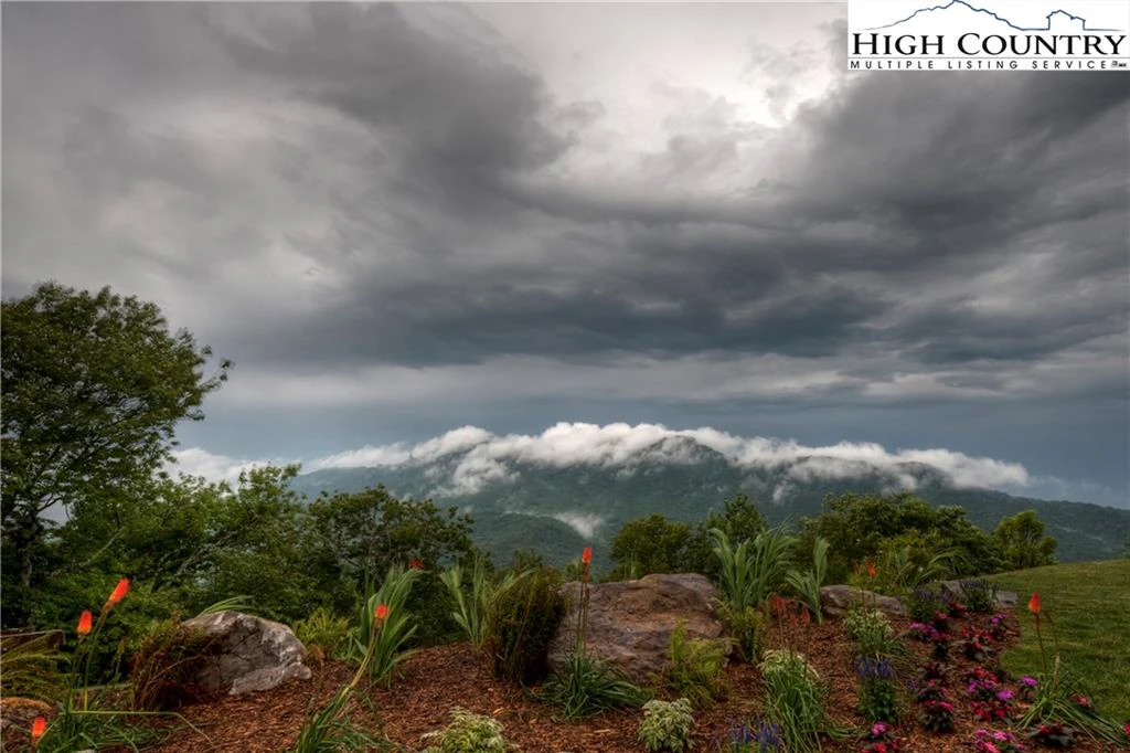Image number 7 for the current listing