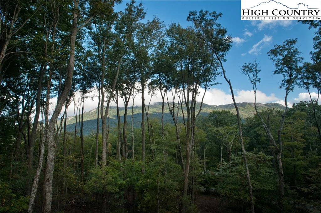 Image number 10 for the current listing