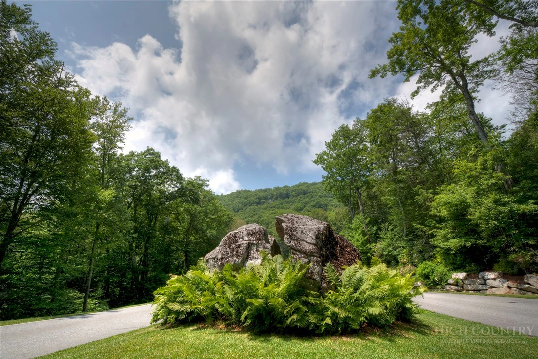 Image number 2 for the current listing
