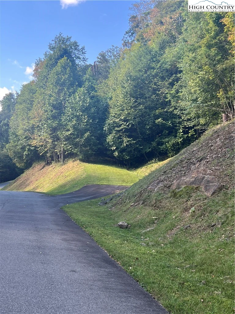 Image number 1 for the current listing