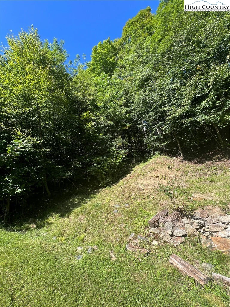 Image number 3 for the current listing
