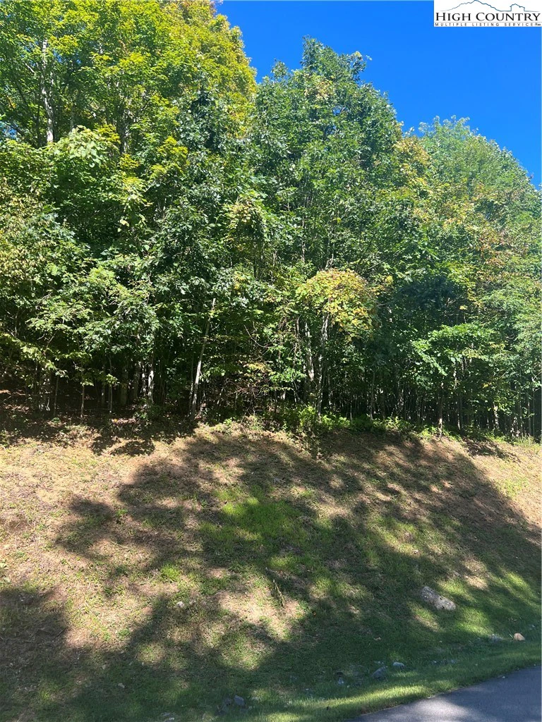 Image number 6 for the current listing