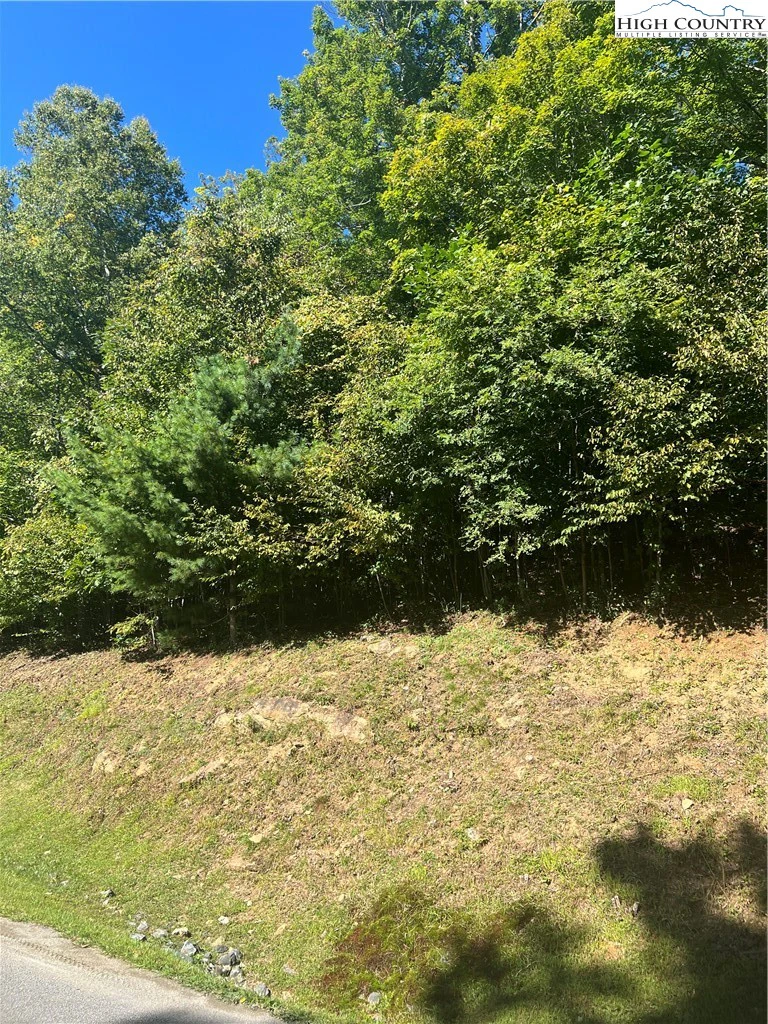 Image number 7 for the current listing