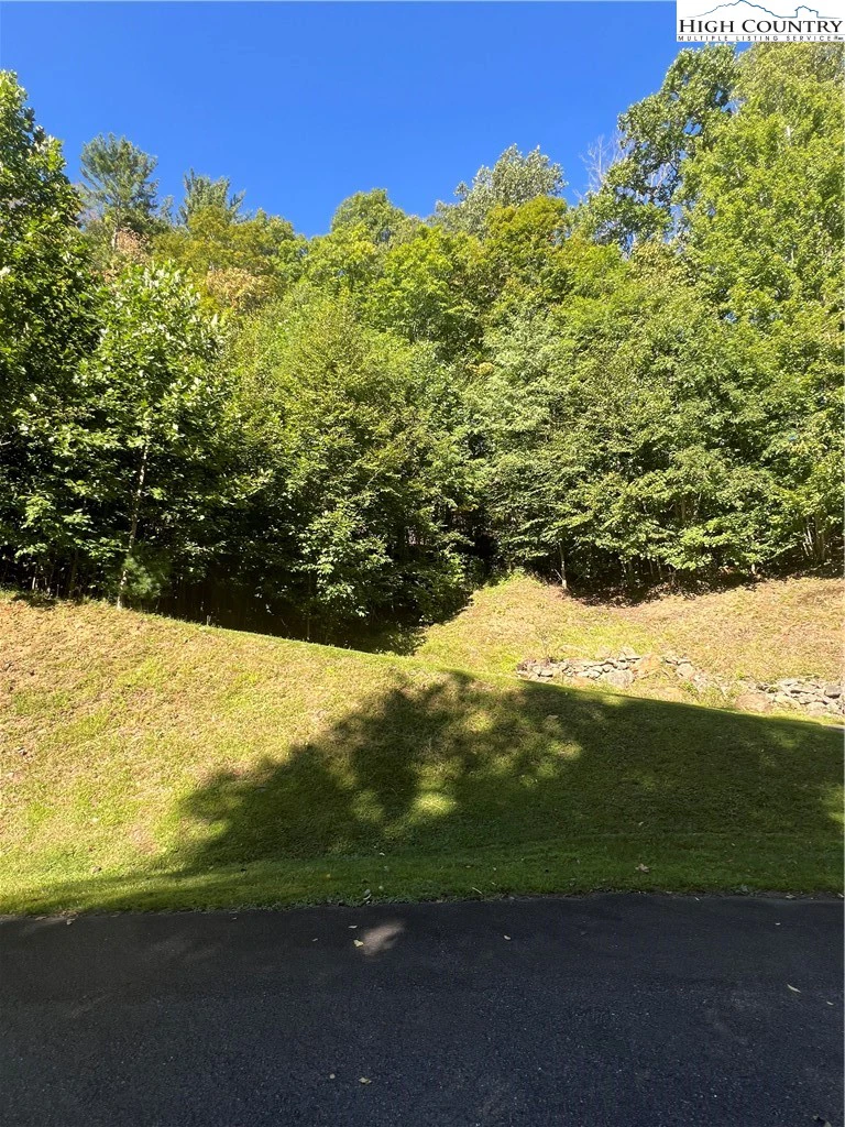 Image number 8 for the current listing