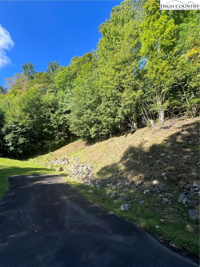 Image number 10 for the current listing