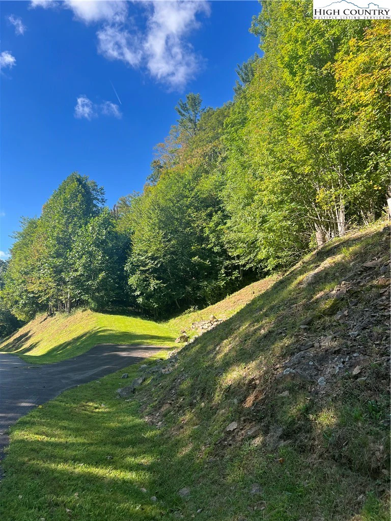 Image number 11 for the current listing