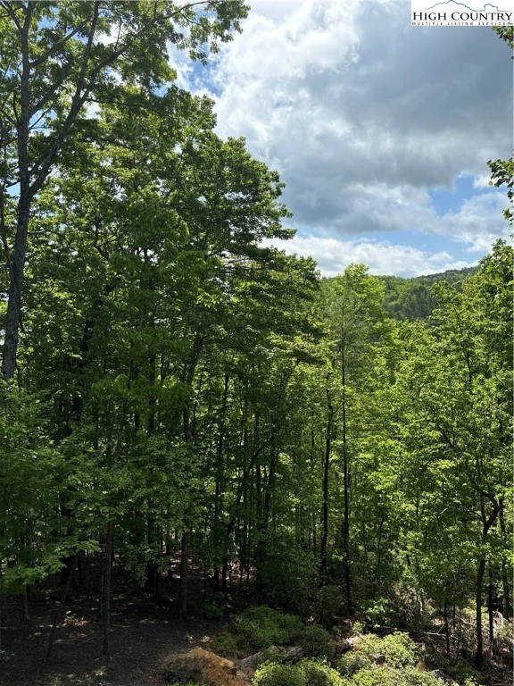 Image number 19 for the current listing