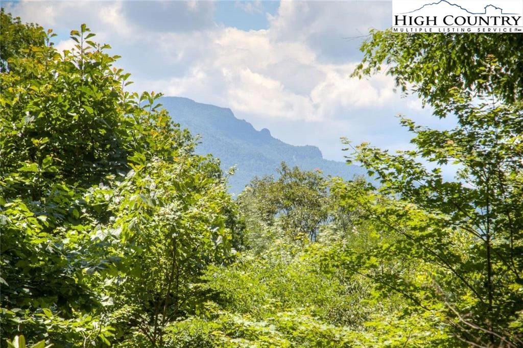 Image number 1 for the current listing
