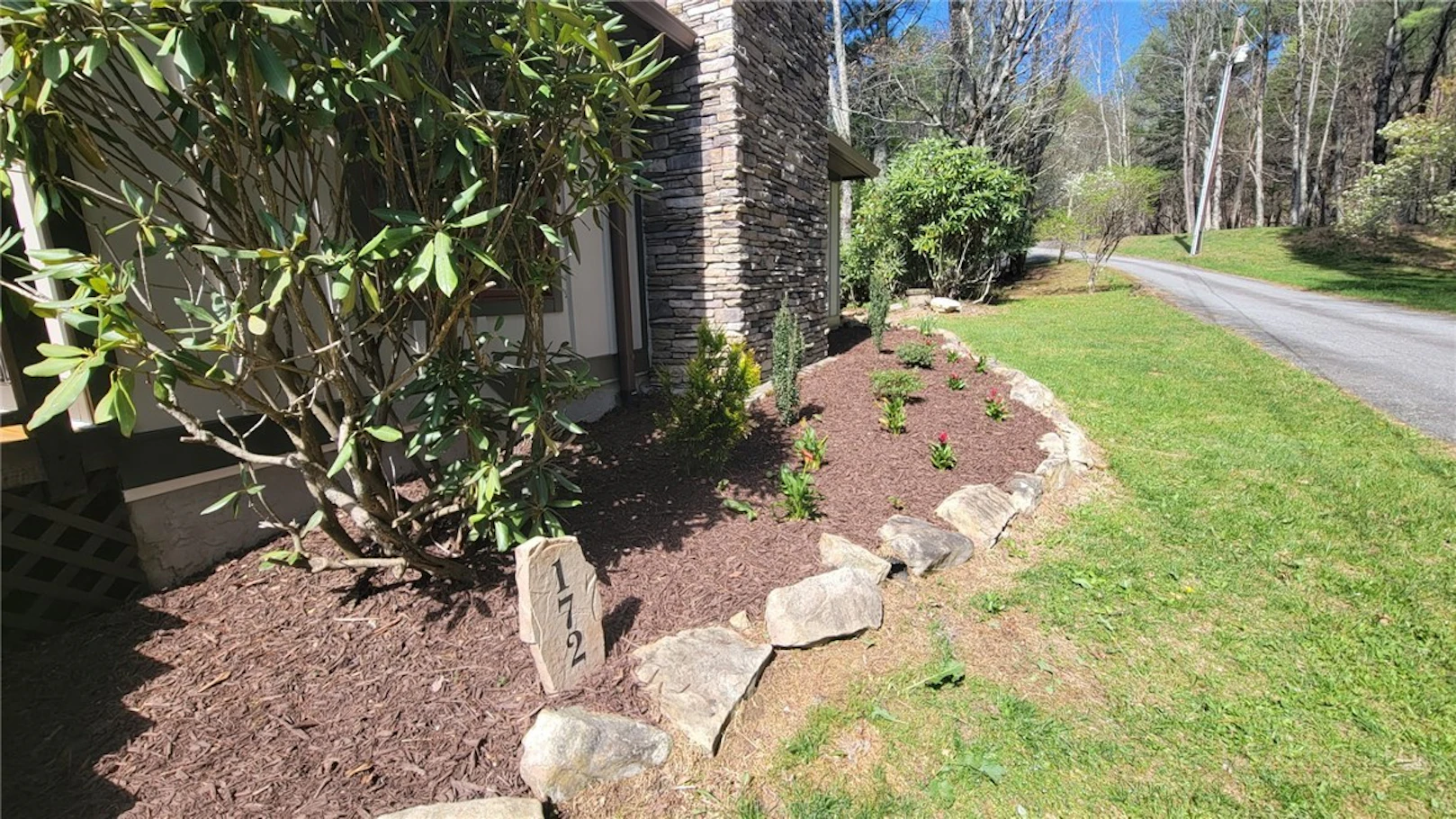 Image number 4 for the current listing