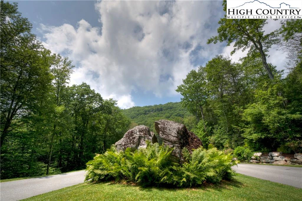 Image number 4 for the current listing