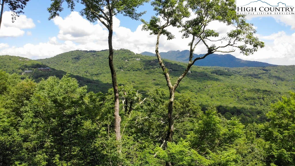 Image number 1 for the current listing