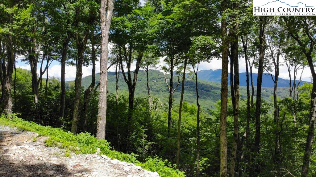 Image number 4 for the current listing