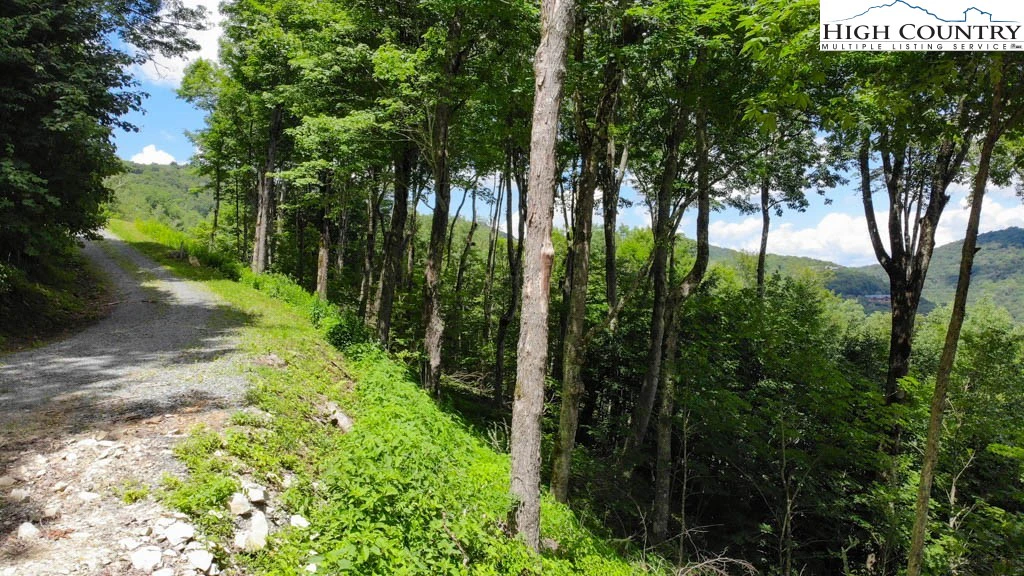 Image number 5 for the current listing
