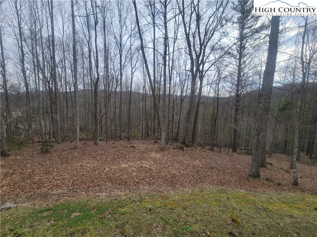Image number 12 for the current listing