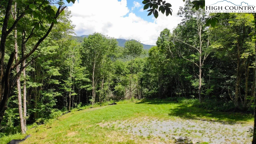 Image number 3 for the current listing