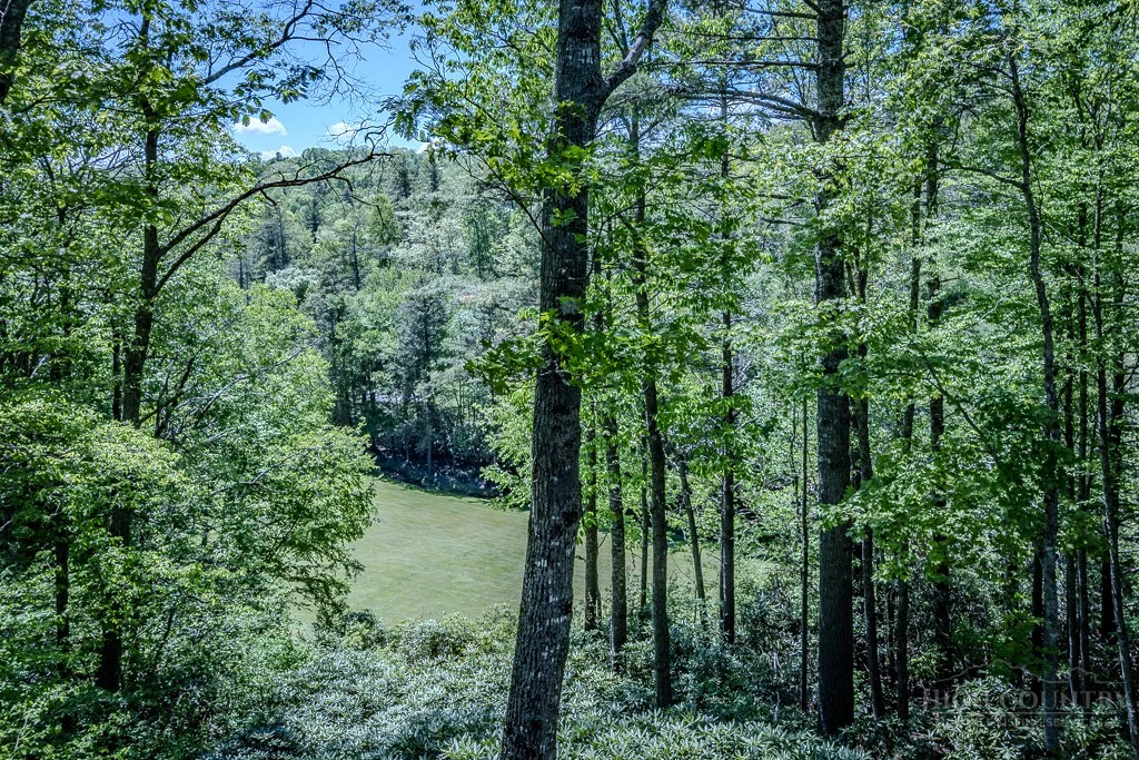 Image number 12 for the current listing