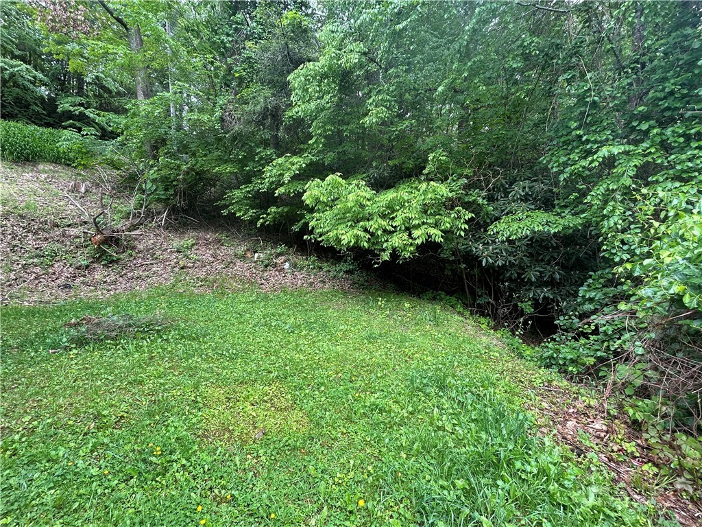 Image number 14 for the current listing
