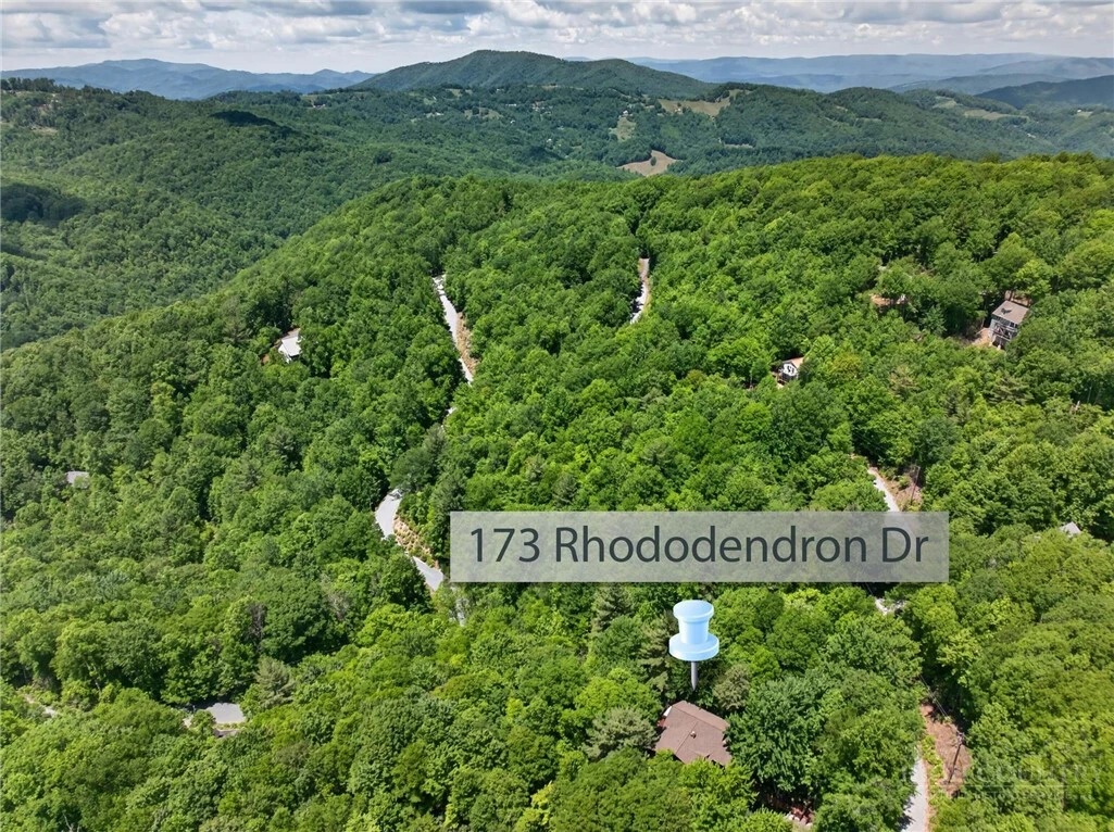 Image number 10 for the current listing