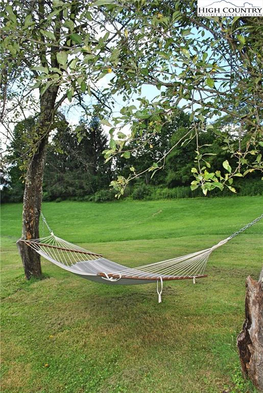 Image number 6 for the current listing