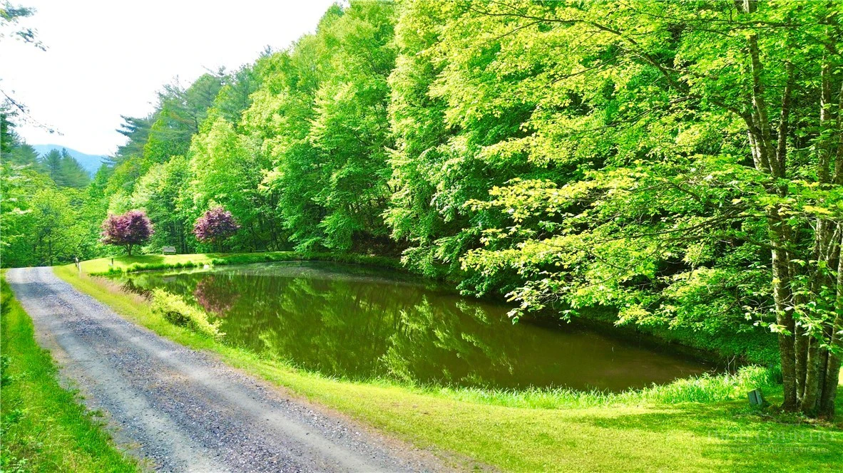 Image number 3 for the current listing