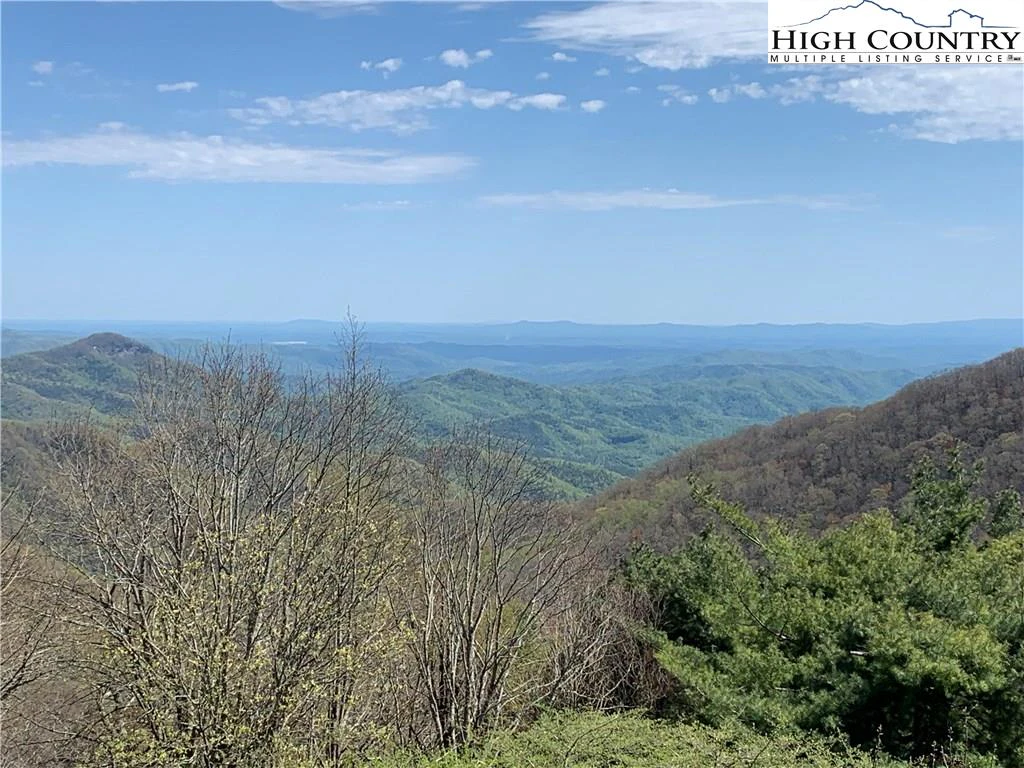 Image number 1 for the current listing