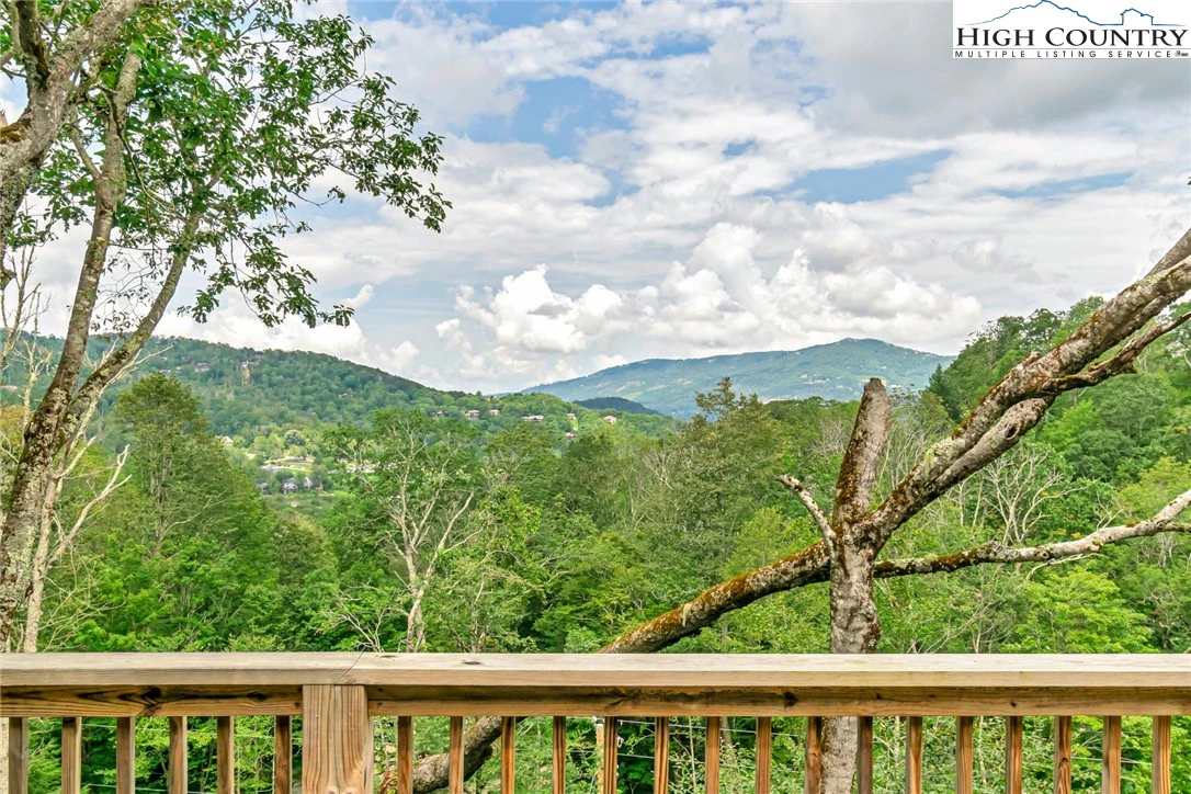 Image number 14 for the current listing
