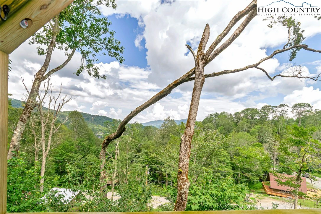 Image number 10 for the current listing