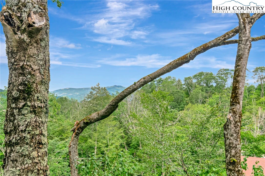 Image number 18 for the current listing