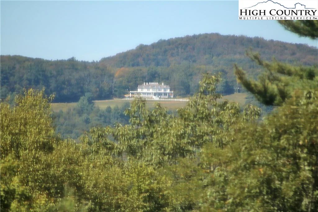 Image number 2 for the current listing