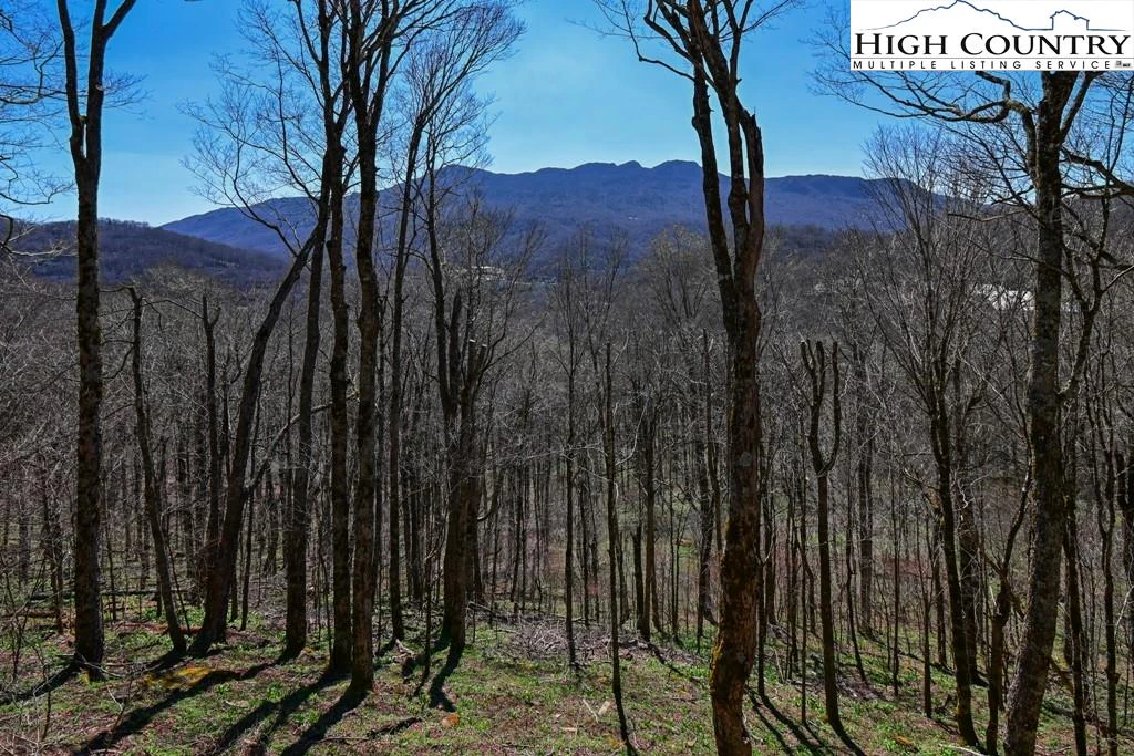 Image number 4 for the current listing