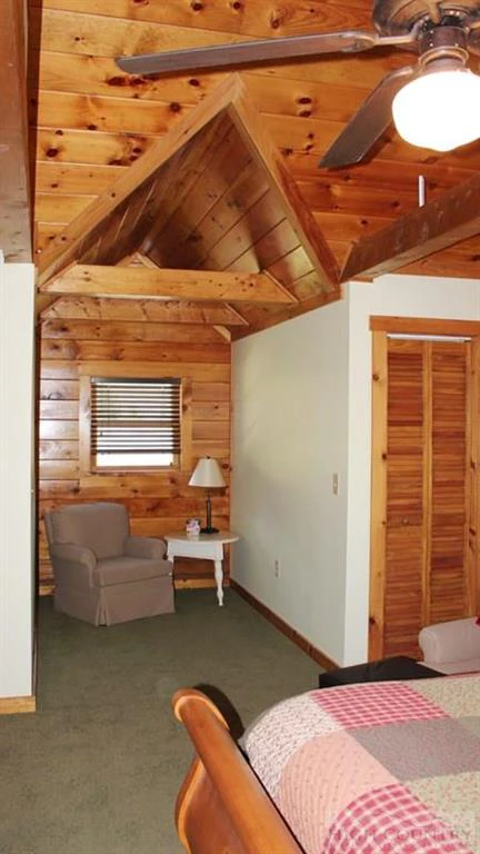 Image number 11 for the current listing
