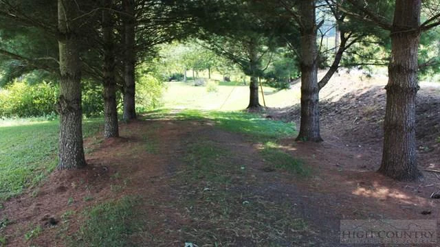 Image number 10 for the current listing
