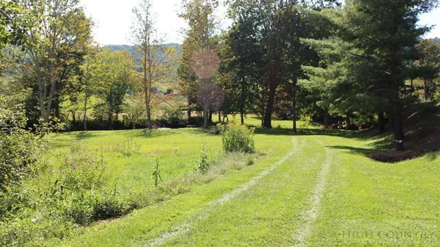 Image number 2 for the current listing