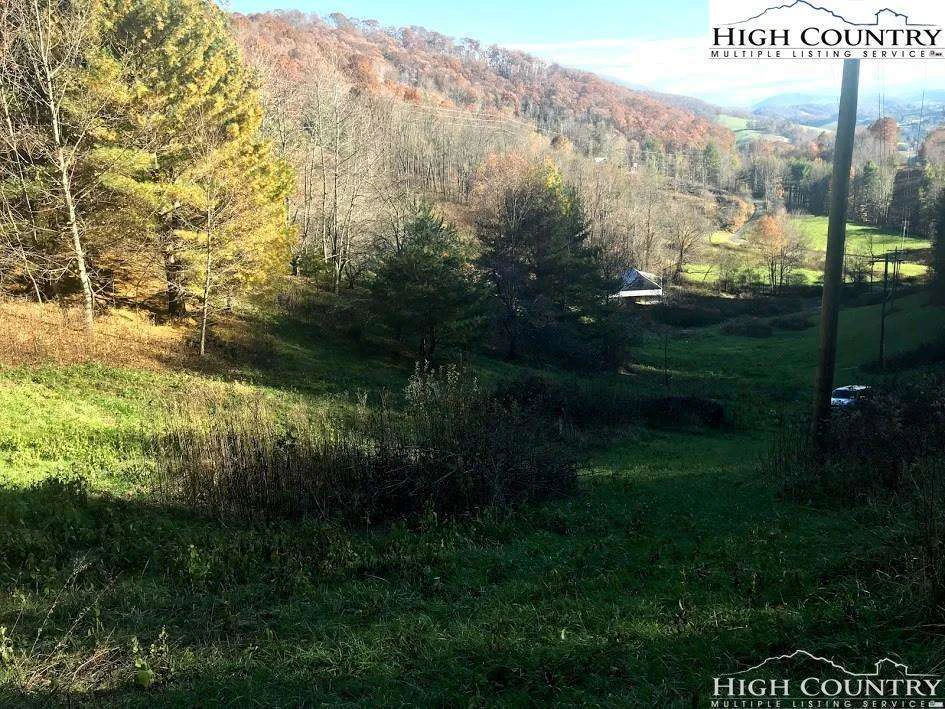 Image number 12 for the current listing